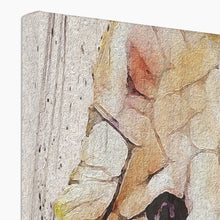 Load image into Gallery viewer, BELLA Canvas