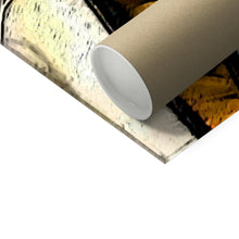 Load image into Gallery viewer, image40