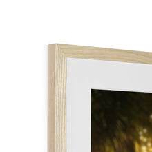 Load image into Gallery viewer, image29