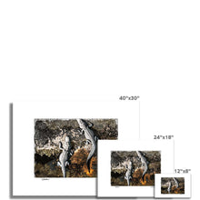 Load image into Gallery viewer, "Gators" Fine Art Print