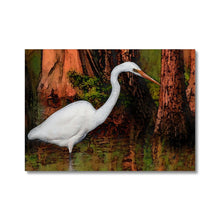 Load image into Gallery viewer, "Cypress Heron" Canvas
