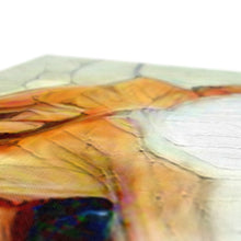 Load image into Gallery viewer, "Jasper" Canvas  (Custom Pet Artwork Example)