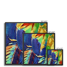 Load image into Gallery viewer, &quot;Painted Feathers&quot; Framed Canvas
