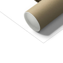 Load image into Gallery viewer, "Gators" Fine Art Print