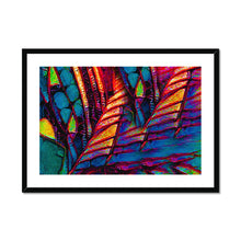 Load image into Gallery viewer, Sails & Canoes Framed & Mounted Print