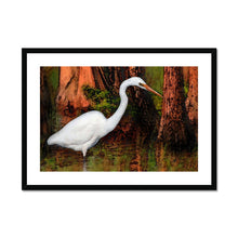 Load image into Gallery viewer, "Cypress Heron" Framed & Mounted Print