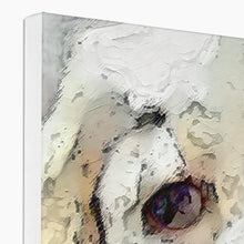 Load image into Gallery viewer, "The Look" Canvas