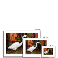 Load image into Gallery viewer, "Cypress Heron" Framed & Mounted Print