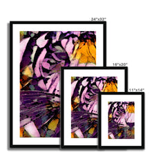 Load image into Gallery viewer, "Bayou Tiger" Framed & Mounted Print