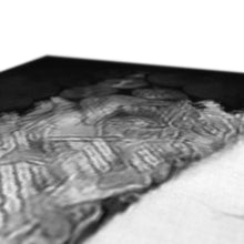 Load image into Gallery viewer, "Ghost Fish" Canvas