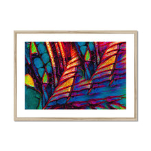 Load image into Gallery viewer, Sails & Canoes Framed & Mounted Print