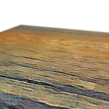 Load image into Gallery viewer, Gator Lake Canvas