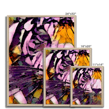Load image into Gallery viewer, "Bayou Tiger" Framed Print