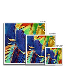 Load image into Gallery viewer, "Painted Feathers" Framed Print