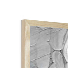 Load image into Gallery viewer, "Floridian Gator" Framed Print