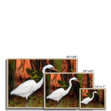 Load image into Gallery viewer, &quot;Cypress Heron&quot; Framed Print
