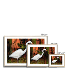 Load image into Gallery viewer, "Cypress Heron" Framed & Mounted Print