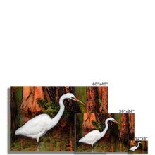 Load image into Gallery viewer, "Cypress Heron" Fine Art Print
