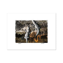 Load image into Gallery viewer, "Gators" Fine Art Print