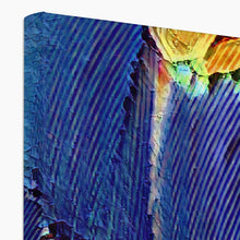 Load image into Gallery viewer, "Painted Feathers" Canvas