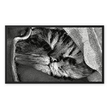 Load image into Gallery viewer, SUNDAY Framed Canvas