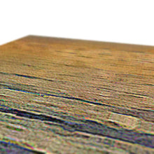 Load image into Gallery viewer, Gator Lake Canvas