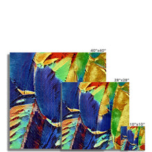 Load image into Gallery viewer, "Painted Feathers" Fine Art Print
