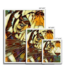 Load image into Gallery viewer, "Tiger III" Framed Print