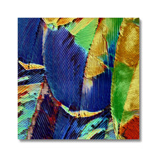 Load image into Gallery viewer, "Painted Feathers" Canvas
