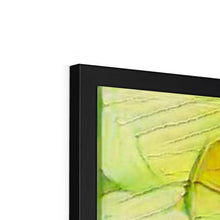 Load image into Gallery viewer, "Flying" Framed Print