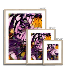 Load image into Gallery viewer, "Bayou Tiger" Framed & Mounted Print