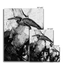 Load image into Gallery viewer, &quot;Bird on Cypress&quot; Canvas
