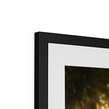 Load image into Gallery viewer, image27
