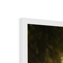 Load image into Gallery viewer, image52
