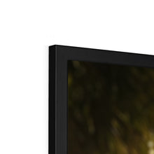 Load image into Gallery viewer, image51
