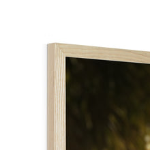 Load image into Gallery viewer, image53
