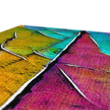 Load image into Gallery viewer, image50
