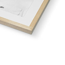 Load image into Gallery viewer, image53
