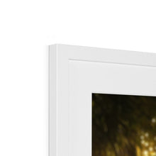 Load image into Gallery viewer, image28
