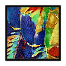 Load image into Gallery viewer, &quot;Painted Feathers&quot; Framed Print

