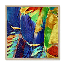 Load image into Gallery viewer, &quot;Painted Feathers&quot; Framed Print
