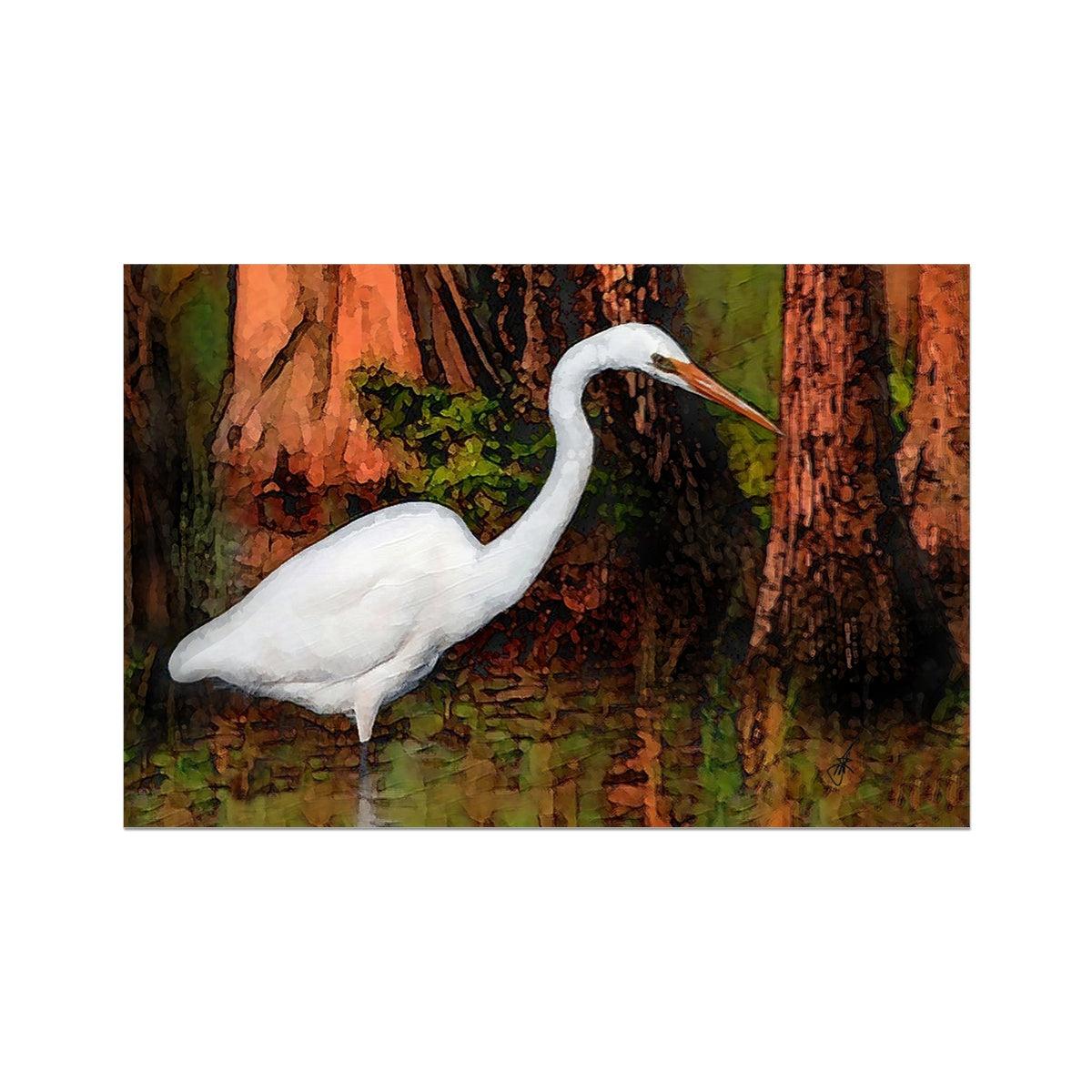 "Cypress Heron" Fine Art Print